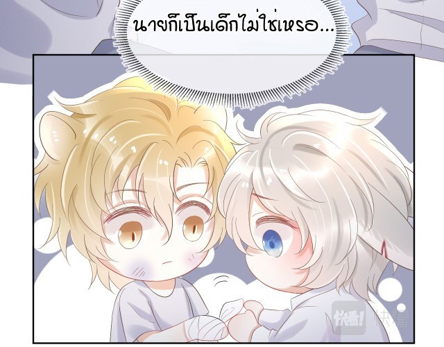 เจ้ากระต่ายน้อย 3 083