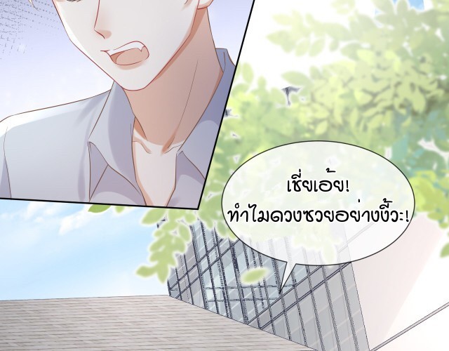 เจ้ากระต่ายน้อย 3 067