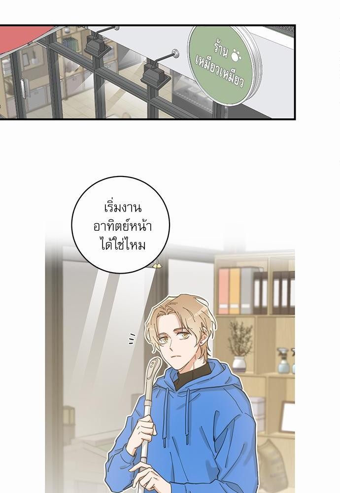 อ่านมังงะวาย