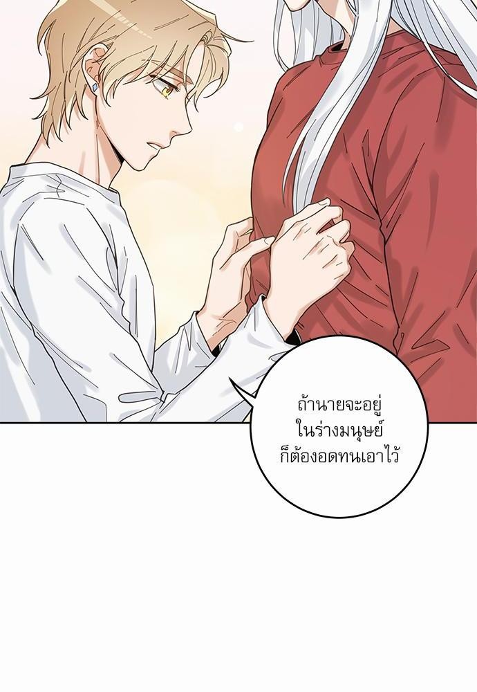 อ่านมังงะวาย